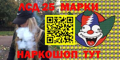 гидропоника Славгород