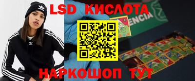 гашик Сланцы