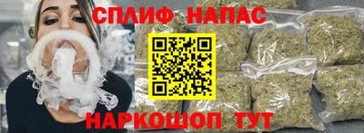 гашик Сланцы