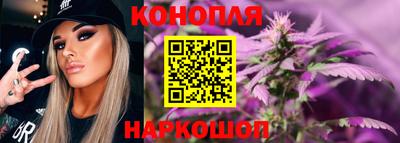 гашик Сланцы