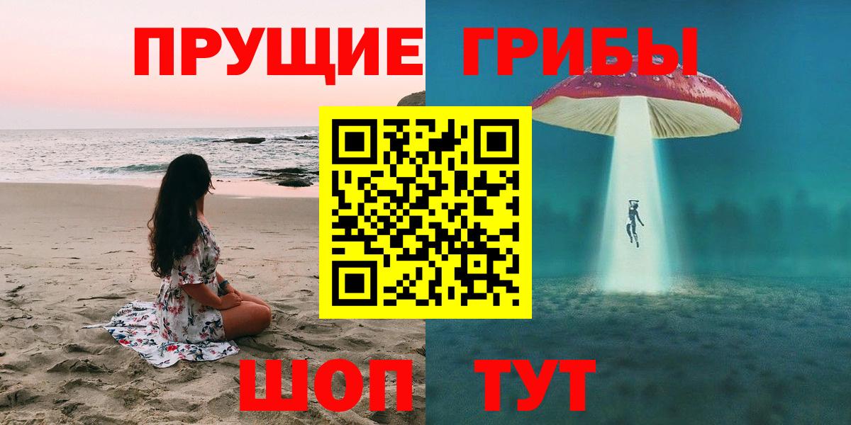 Галлюциногенные грибы Psilocybine cubensis Советский